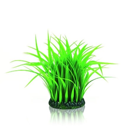 GRASS RING FOR AQUARIUM GREEN M