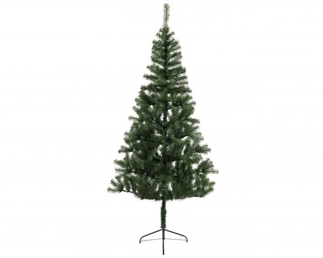 CHRISTMAS TREE GREEN, ROVINJ, KAEM., H.:180cm