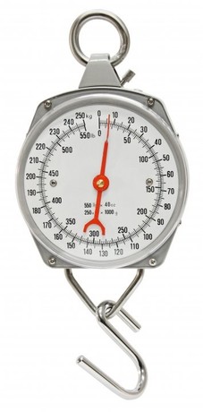 HANGING SCALE WITH INDICATOR 250kg