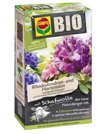 rhododendron violett 3er-Set Rhododendron / Alpenrose – Lila, Rosa & Weiß – Immergrüne wint –  Blumen-Senf® main image 0