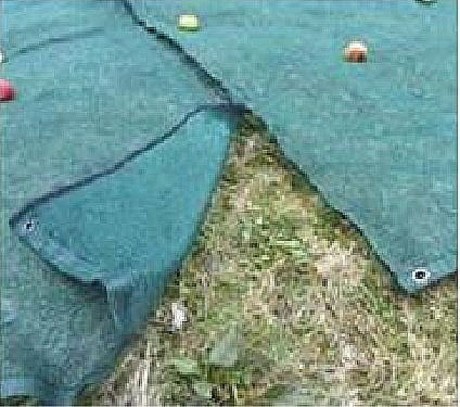 OLIVE HARVESTING NET 12x12m WITH CUTOUT