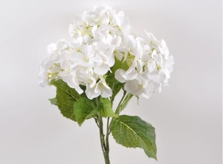 HYDRANGEA WHITE BRANCH-BOUQUET 5 FLOWERS