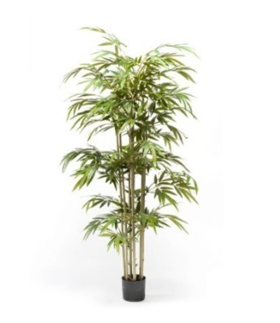 BAMBUS U TEGLI 7 STABLJAKA 768 LISTOVA V150cm - eurogarden.eu