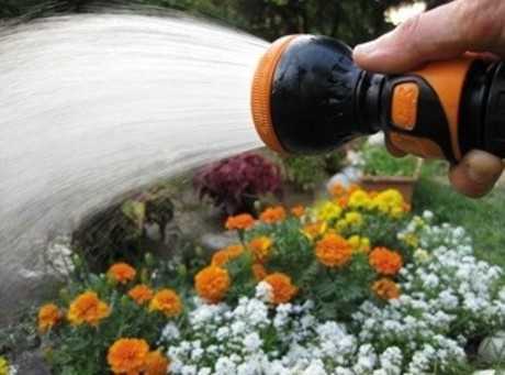 CLICK-ON WATERING HEAD