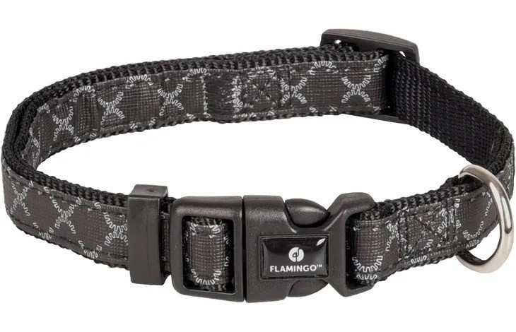 Odin dog harness best sale